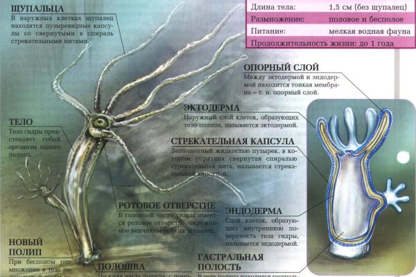 Кракен наркошоп