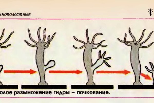 Кракен зеркало тор