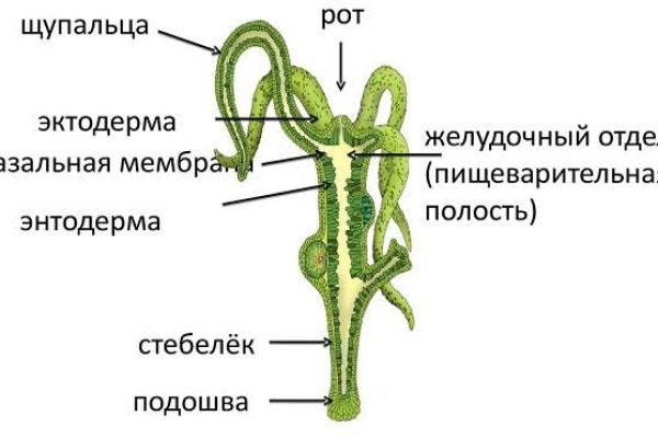 Кракен сайт ссылка kraken clear com